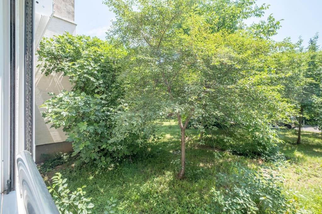 Top Location, Brand New 3 Bdrm Apt & Free Parking Sofia Ngoại thất bức ảnh