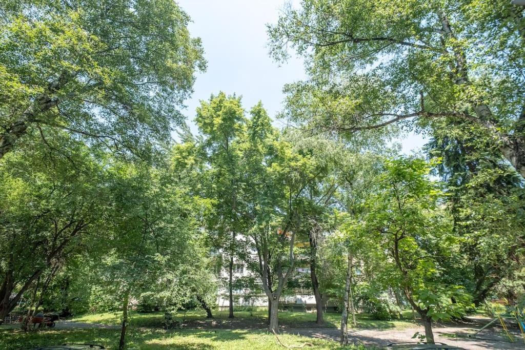 Top Location, Brand New 3 Bdrm Apt & Free Parking Sofia Ngoại thất bức ảnh